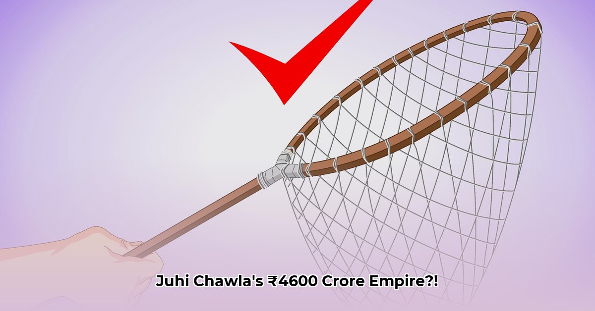 net-worth-of-juhi-chawla